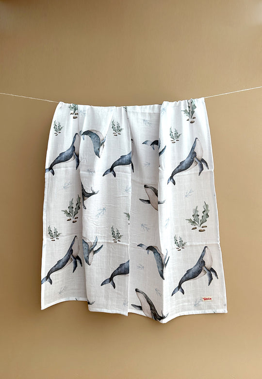 Whales ~ 100x100 ~ Wrap