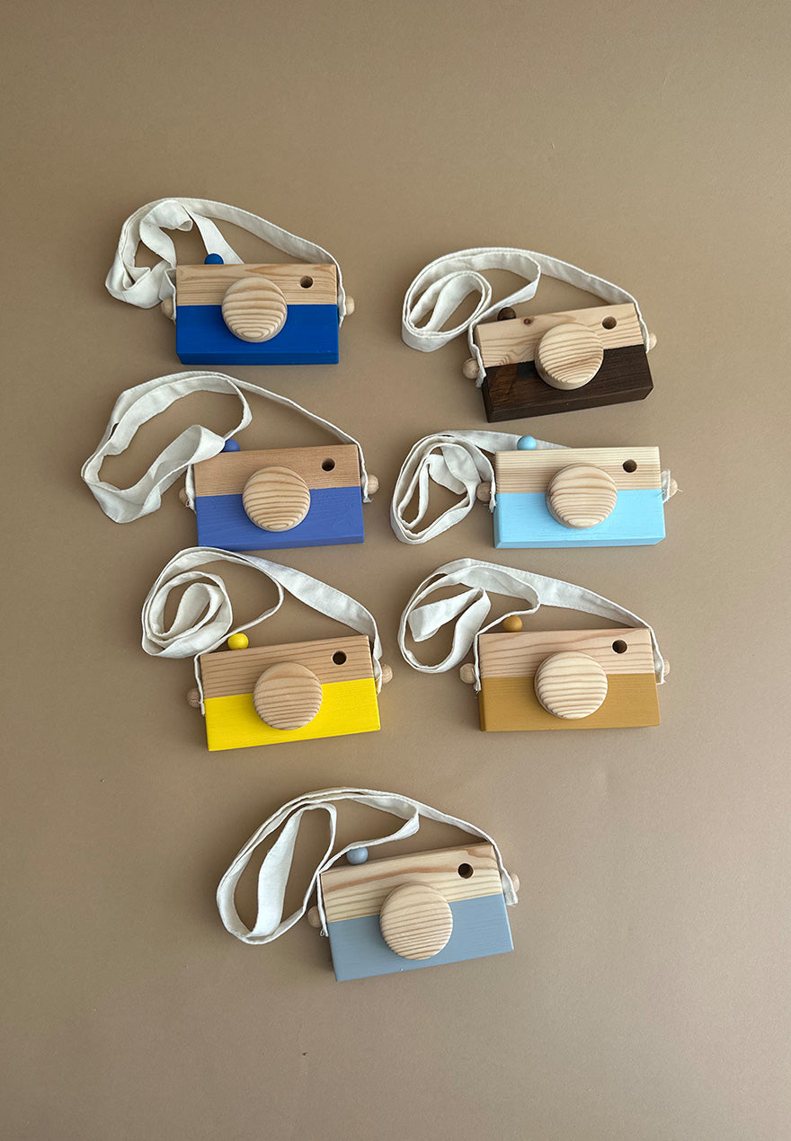 Wooden camera