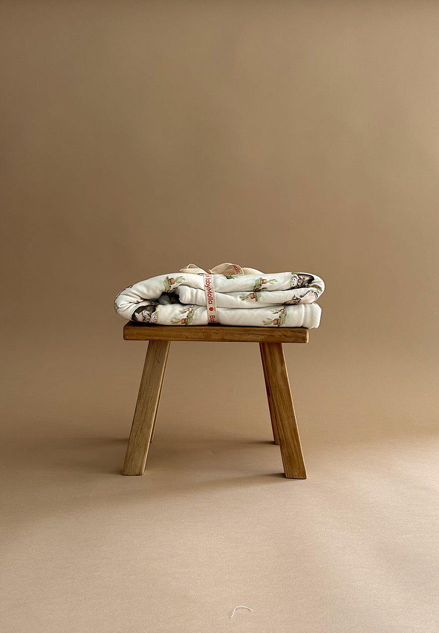 Rabbits Plush Blanket 2in1