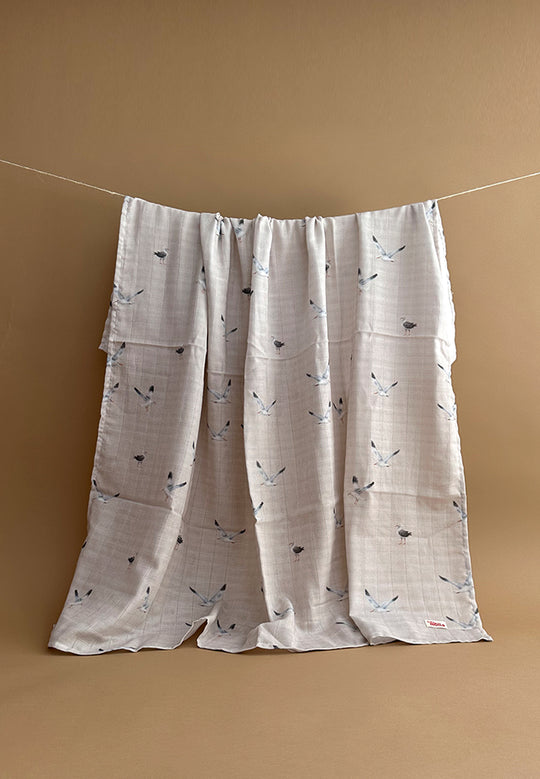 Seagulls ~ 120x120 ~ Wrap