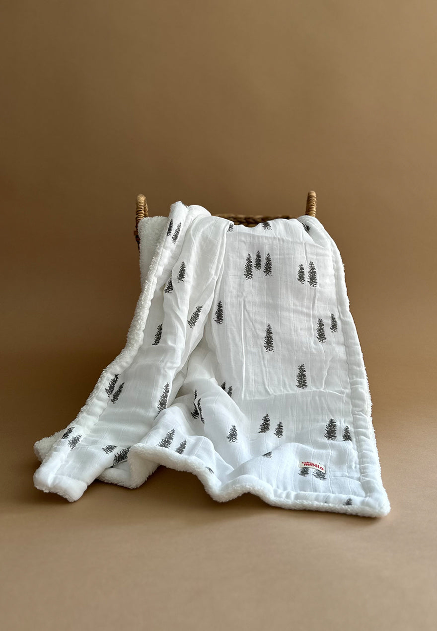Winter Plush Blanket 2in1