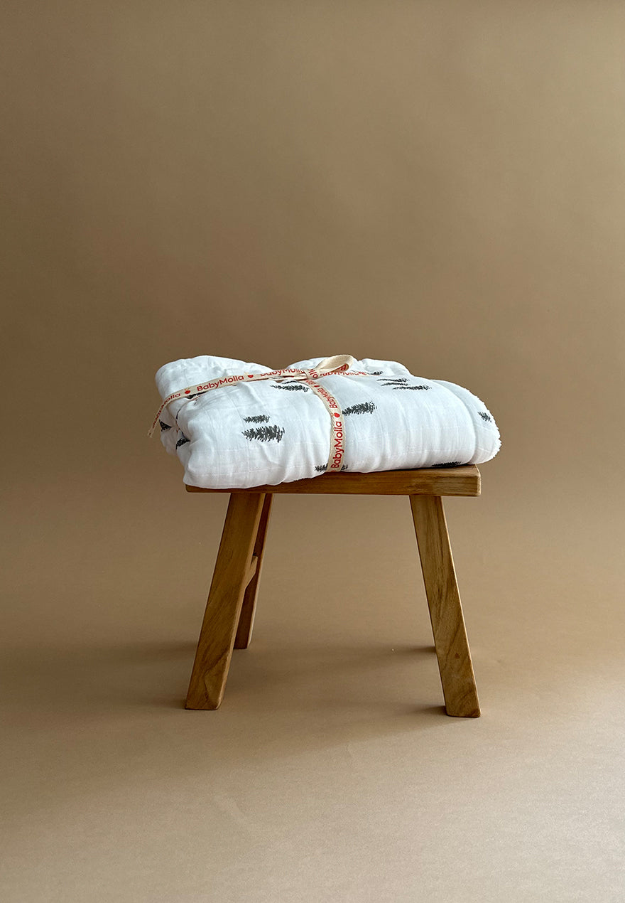 Winter Plush Blanket 2in1