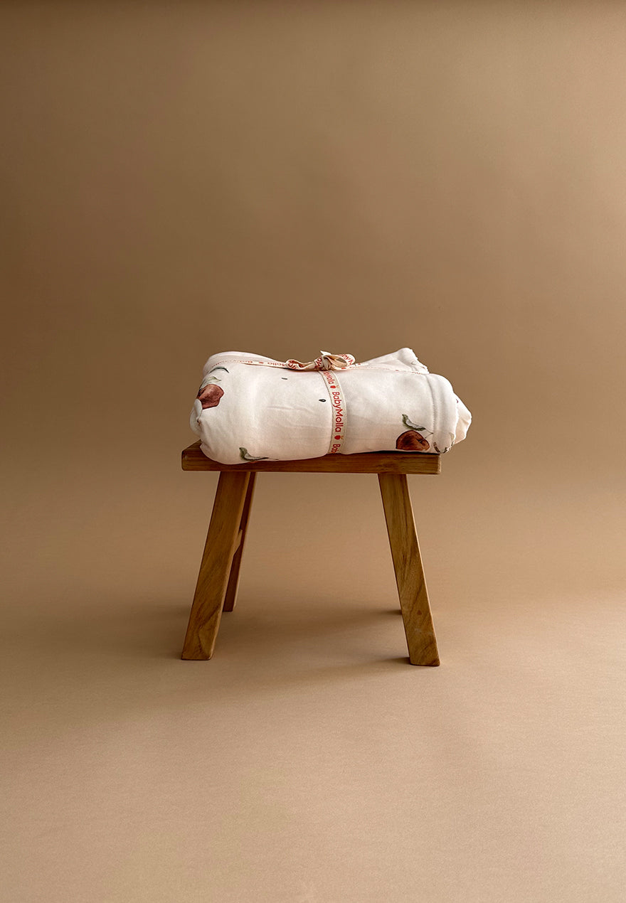 Apples Plush Blanket 2in1