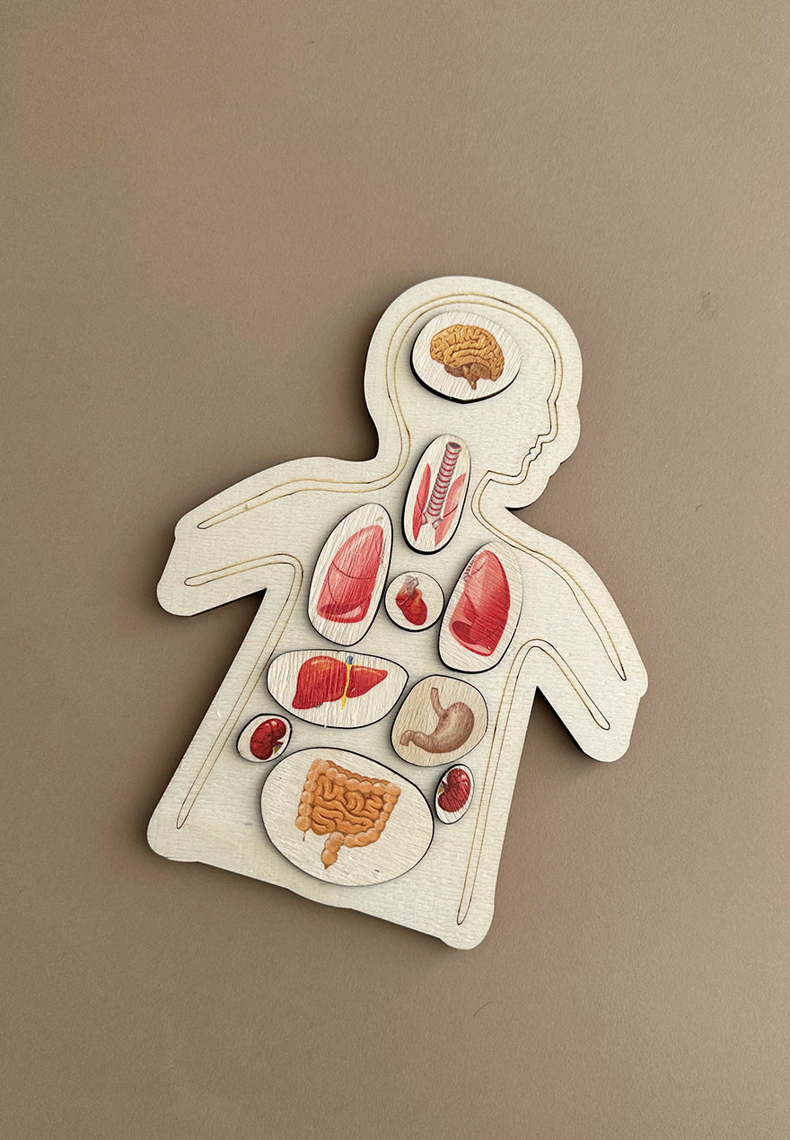 Organs Puzzle - Puzzle me organe