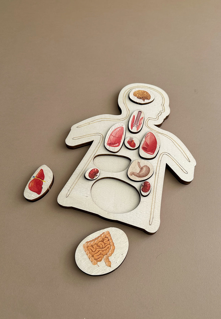 Organs Puzzle - Puzzle me organe