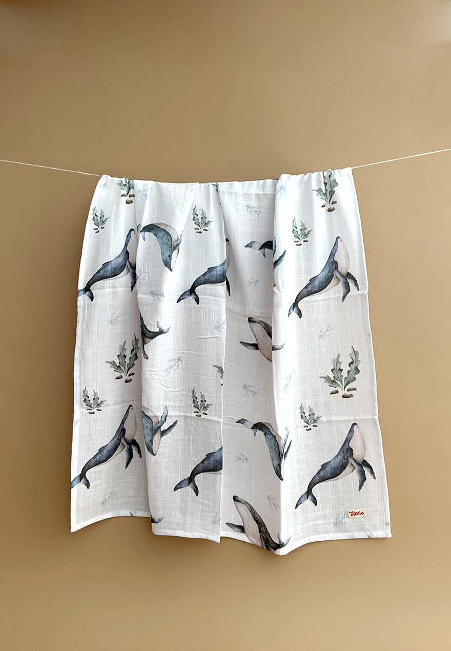 Whales ~ 100x100 ~ Wrap