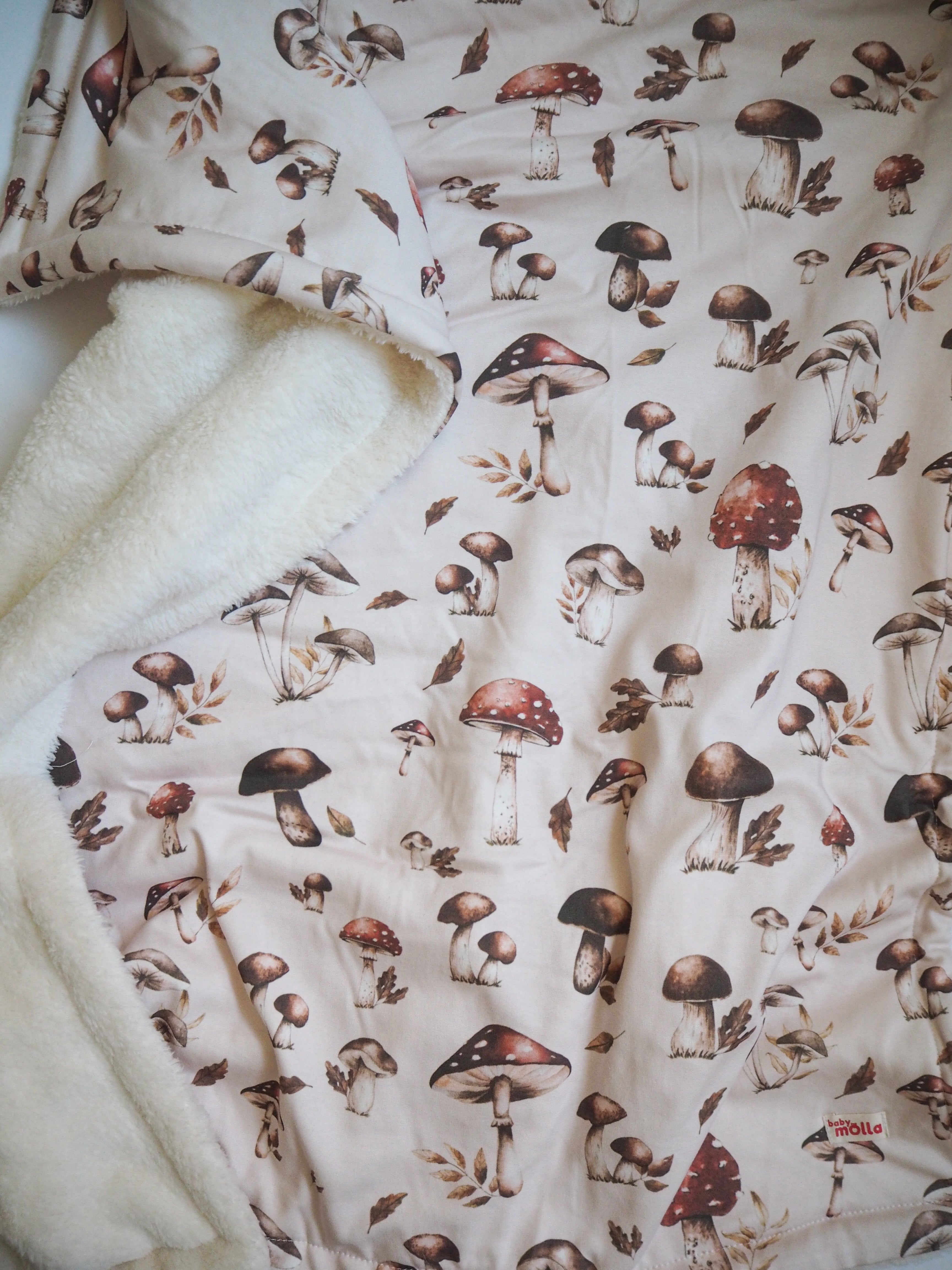 Mushroom Collection